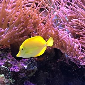 Meet your Posher, Kaylee